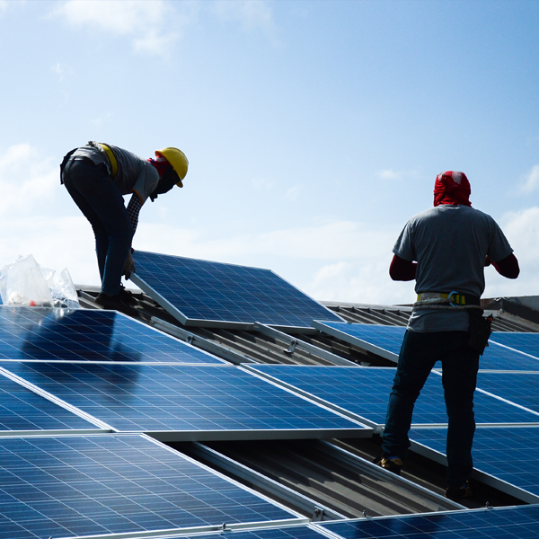 Shining Bright: Choosing the Right Solar Partner for a Greener Tomorrow