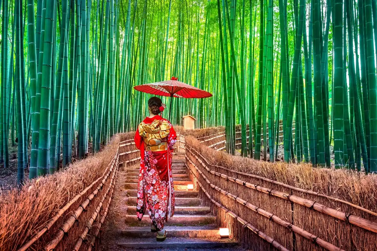 Tokyo Private Tour Tips: How to Make the Most of Your Day With a Guide